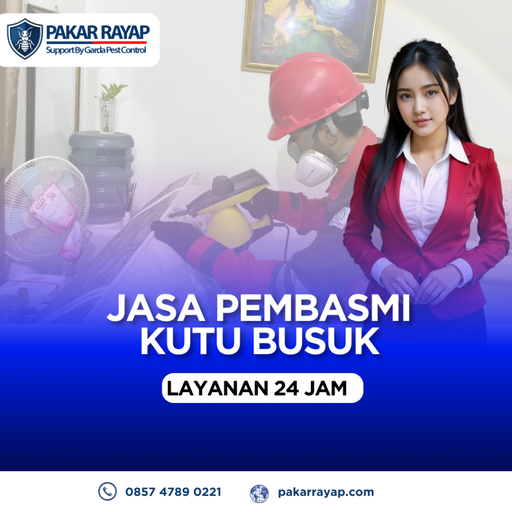 Jasa Pembasmi Kutu Kasur Bergaransi Harga Hemat Kualitas Pejabat