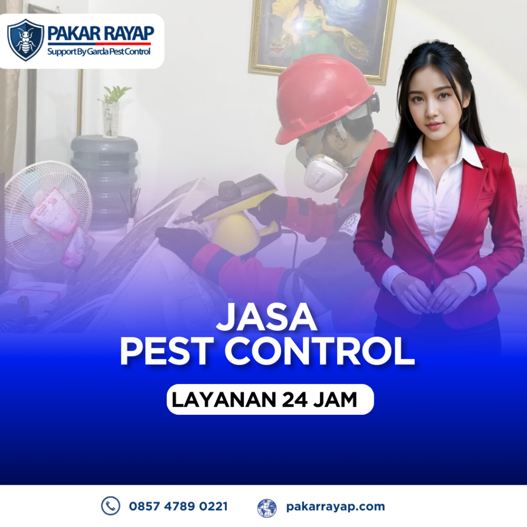 Jasa Pembasmi Kutu Kasur Bergaransi Harga Hemat Kualitas Pejabat