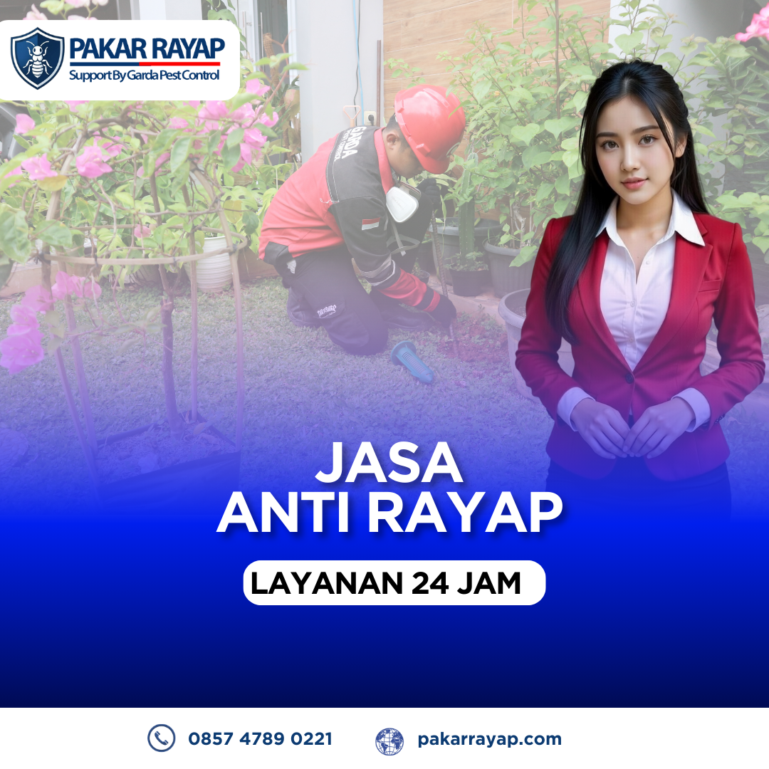 Pakar Anti Rayap: Perlindungan Teruji dengan Jasa Anti Rayap Jogja