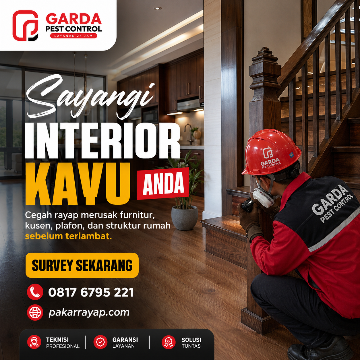 Cara Mengatasi Rayap Solo