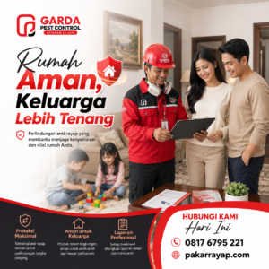 Cara Mengatasi Rayap Solo