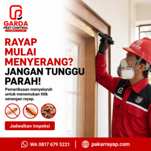 Biaya Jasa Anti Rayap Purwokerto: Estimasi Tarif dan Perlindungan Properti