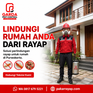 Ciri Rumah Diserang Rayap Tanah yang Wajib Diwaspadai Pemilik Bangunan